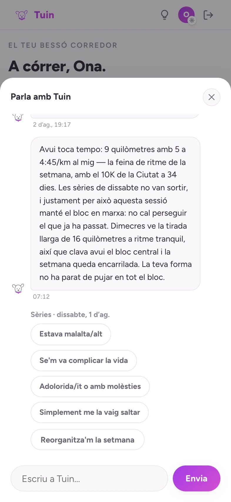 El resum matinal d'en Tuin: unes frases sobre per a què és la sessió d'avui i com va el bloc d'entrenament.